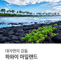 [기획전] 하와이 관광청 빅아일랜드 기획전